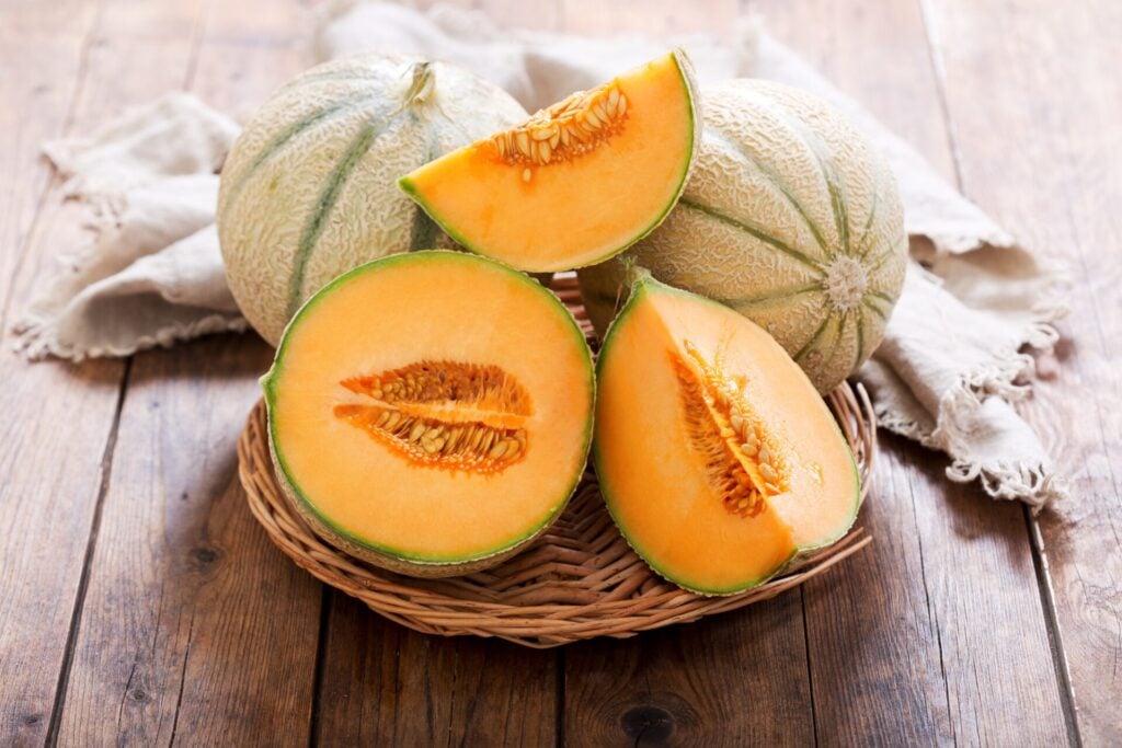 fruit-moins-sucré-melon