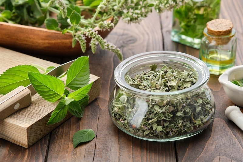 menthe poivrée sechée