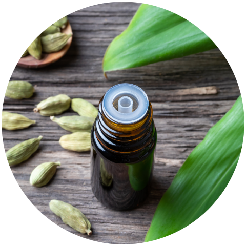 Huile-essentielle-cardamone