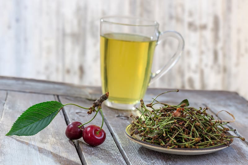 infusion queue de cerises