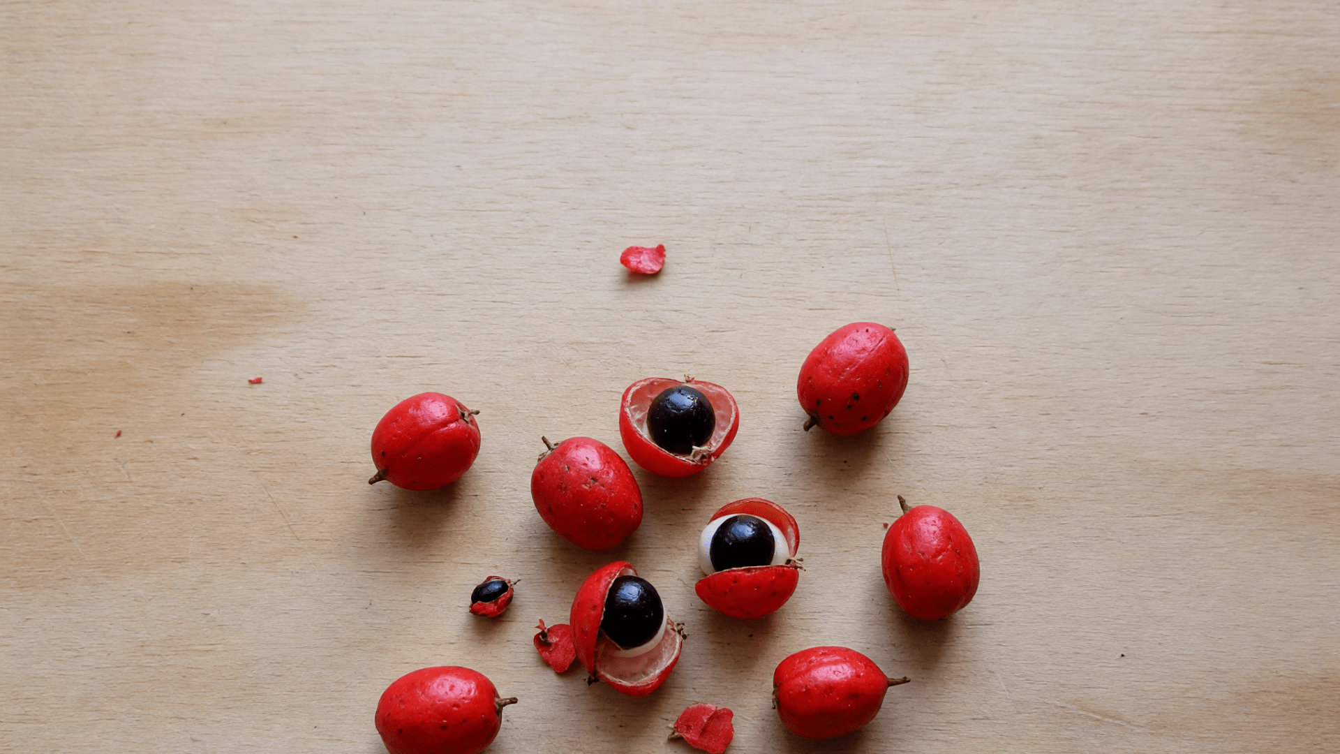 Des fruits de guarana rouges, dont quelques-uns sont ouverts, montrent leurs graines sur une planche en bois.