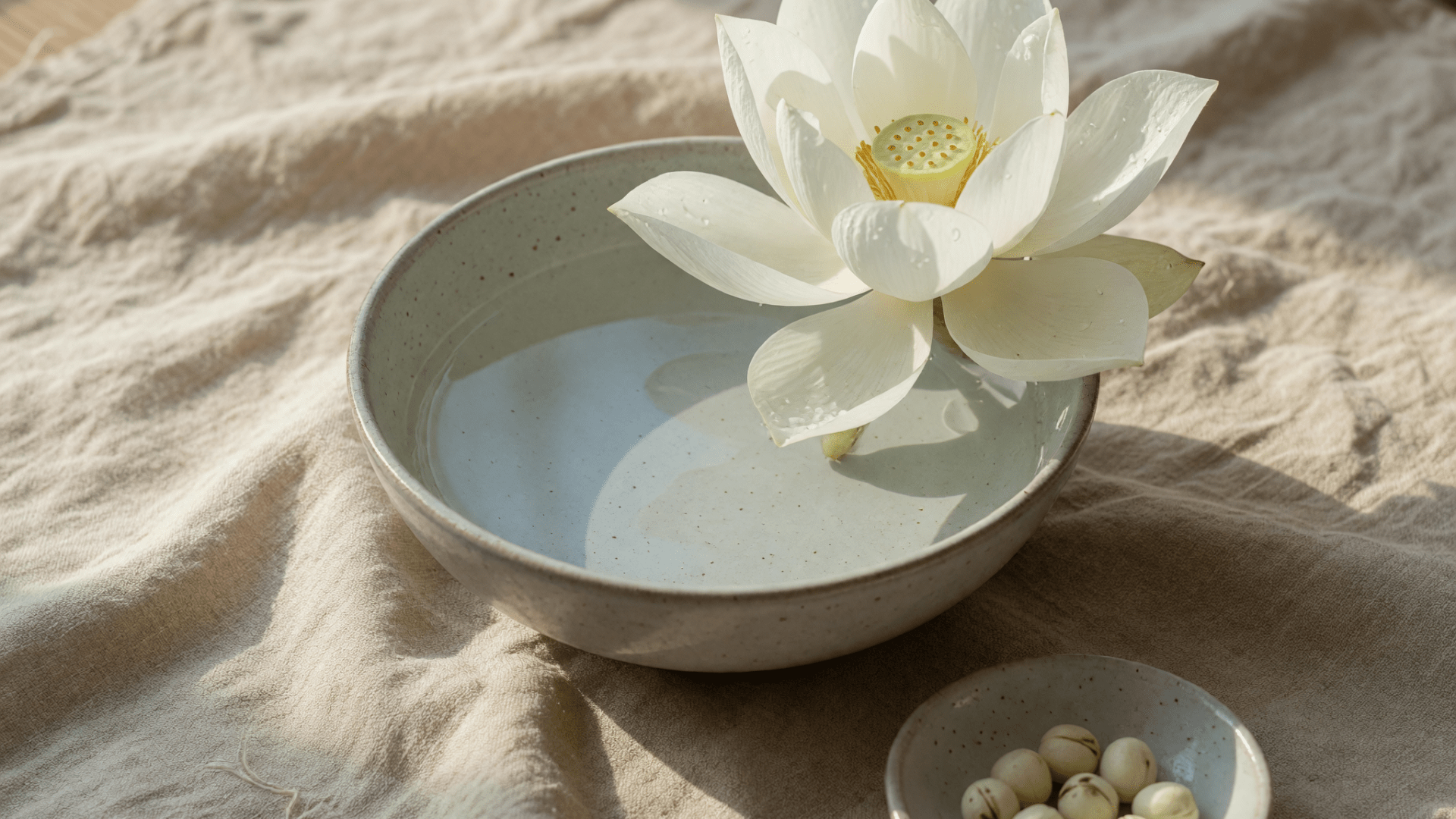 Une fleur de lotus dans un bol d’eau, et quelques graines dans une coupelle.