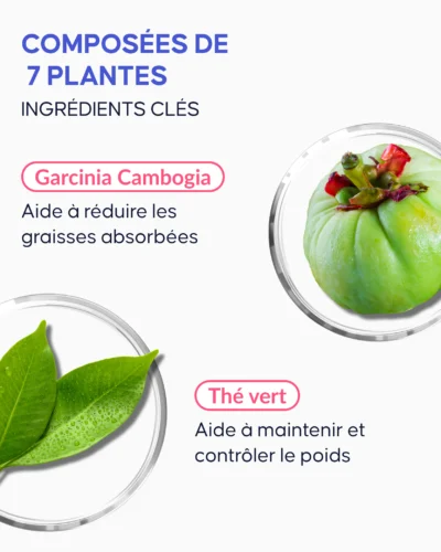 Fettverbrennung Kapsel