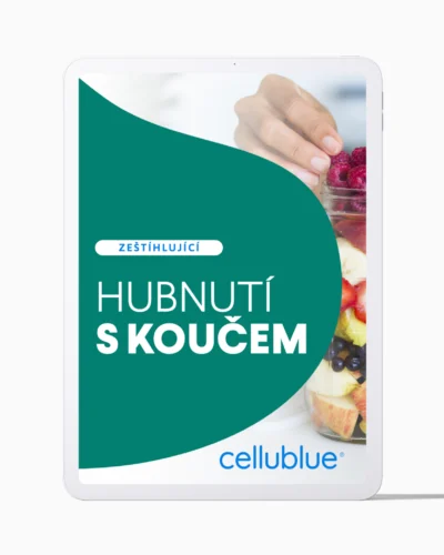 HUBNUTÍ S KOUČEM (PDF)
